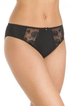 Camille Black Lace Embroidered Briefs 3 Pack
