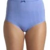 Camille Two Pack Blue Seamfree High Waist Shapewear Control Briefs -Camille Sales Store camille two pack blue seamfree high waist shapewear control briefs p2257 9716 medium