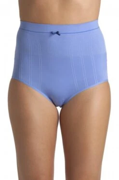 Camille Two Pack Blue Seamfree High Waist Shapewear Control Briefs