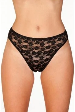 Camille Womens Three Pack Black Floral Lace Front High Leg Briefs