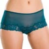 Camille Womens Three Pack Teal Green Sheer Mesh Lace Boxer Shorts 1 Camille Womens Three Pack Teal Green Sheer Mesh Lace Boxer Shorts -Camille Sales Store camille womens three pack teal green sheer mesh lace boxer shorts p57 4593 medium